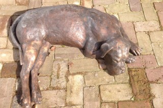 Liggende hond